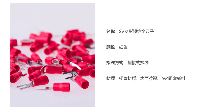 介绍4红色.jpg